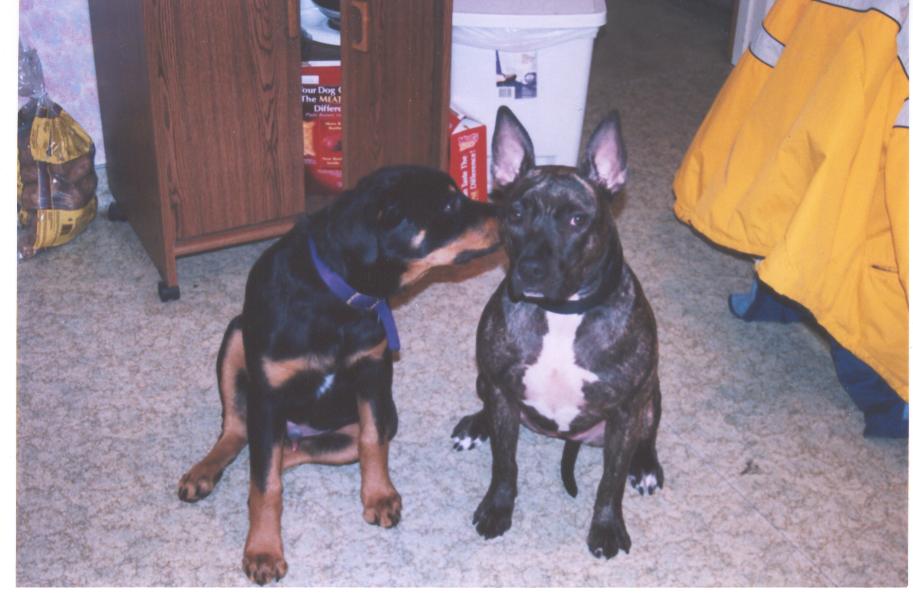 little kiss