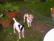 Cutter & Timmy Summer 2009