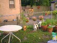Timmy & Cutter Summer 2009
