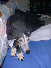 Miss Annie in her Healing Blanket