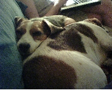 Daisy and Timmy at Rest March 07