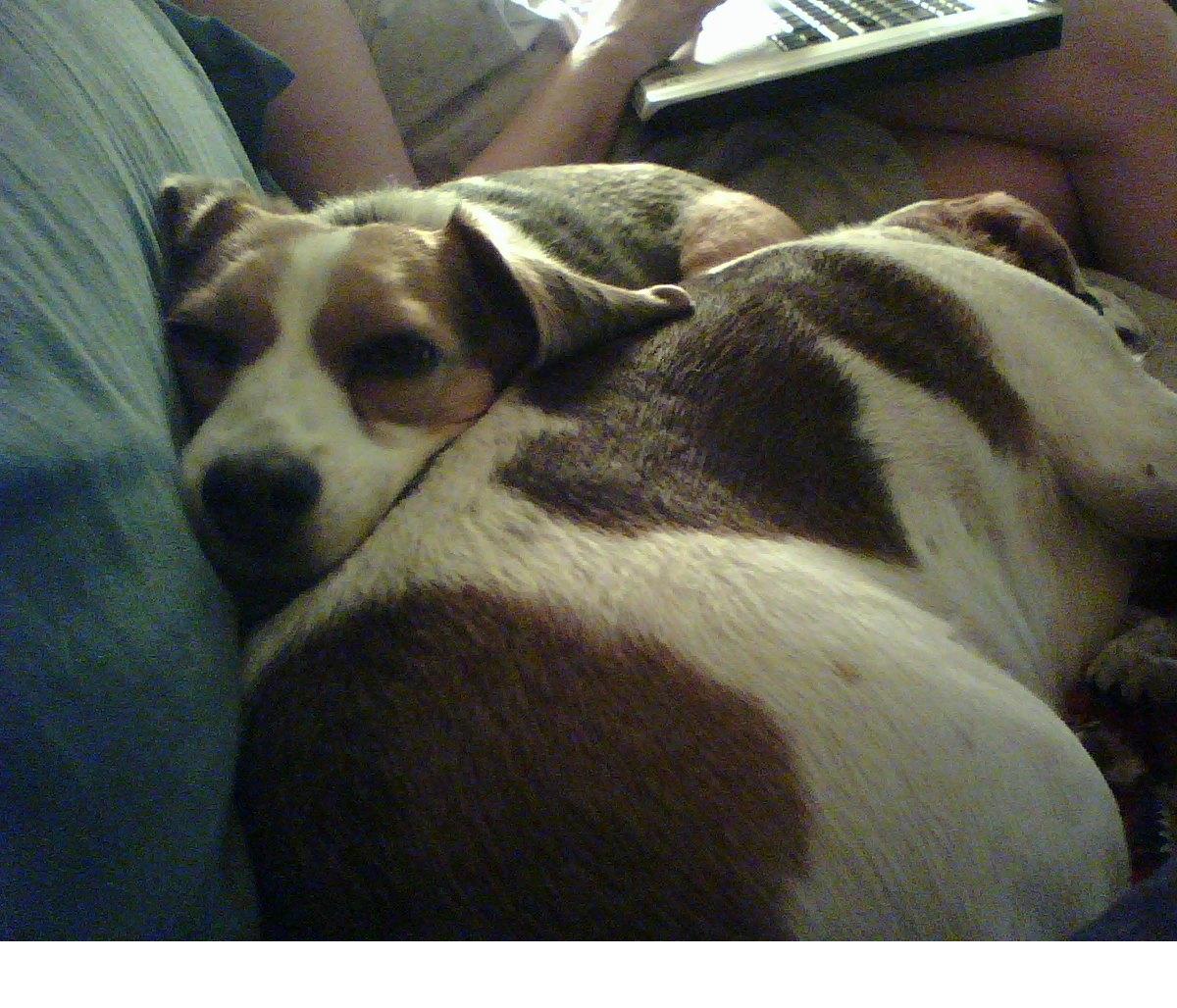 Daisy and Timmy at Rest March 07