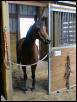 TRH GaliFire  Sept 01