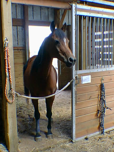 TRH GaliFire  Sept 01