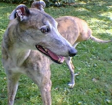 Parker 9/13/03