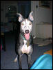 Annie: January 2002