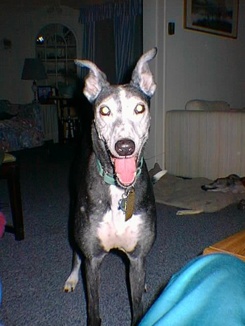 Annie: January 2002