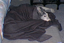 Annie and Her Healing Blanket- Awake