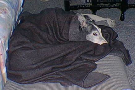 Annie and Her Healing Blanket- Awake