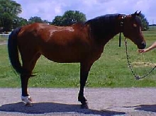 Fire 62500_1
