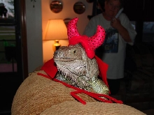 Halloween '05