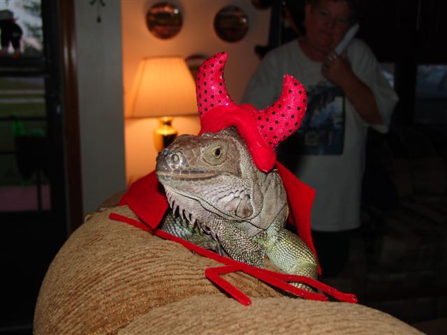 Halloween '05