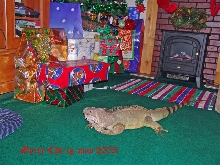 Merry Chr-ig-mas 2005