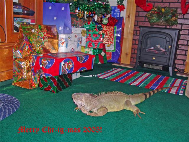 Merry Chr-ig-mas 2005
