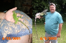Iggi 2001-2003