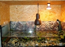 my tank