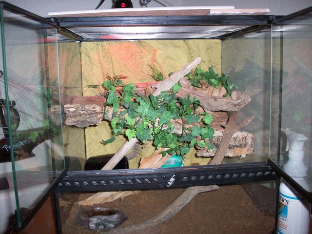 tokay home