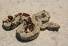 Peruvian Male