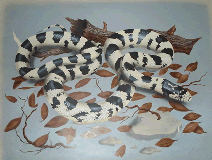 Airbrushed California King