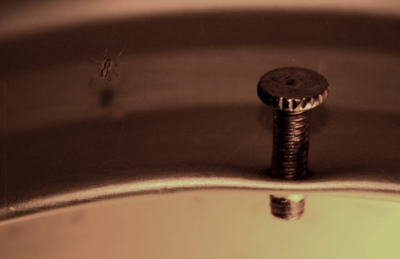 Luminescent Spider 2