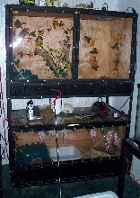 Our ball python enclosures