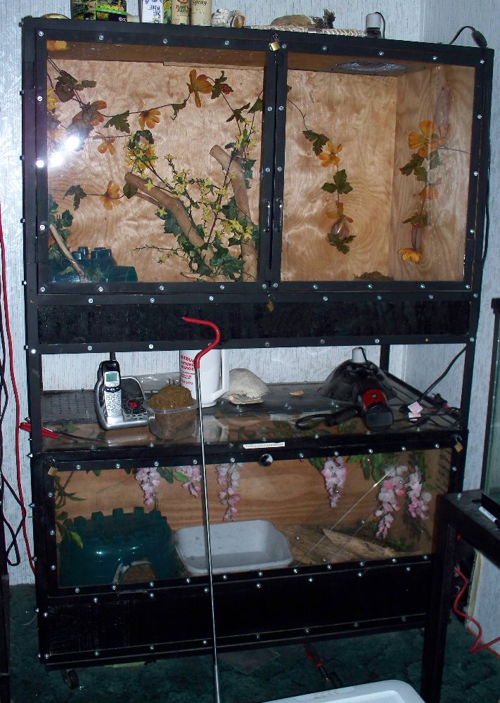 Our ball python enclosures