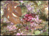 Saltwater Photos