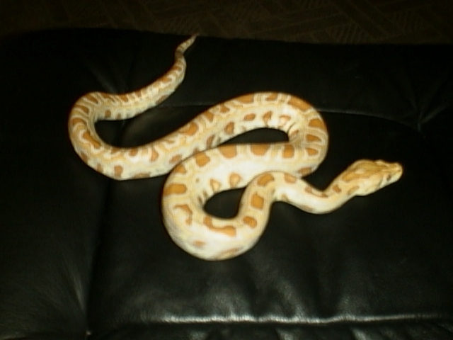 baby2