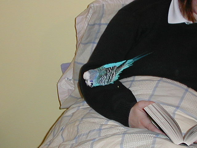 Buddie (r.i.p.)