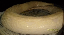 prego snow boa 2