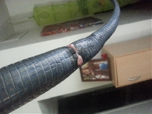 E. Indigo tail issue