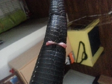 E. Indigo tail issue 2