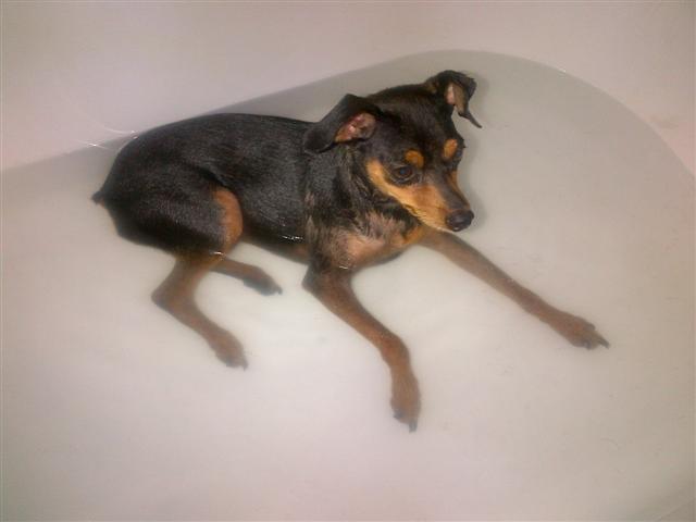 min pin