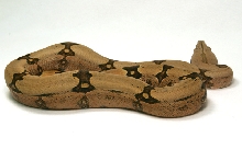 s. brazilian amarali_01