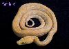 female 02
