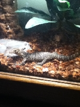 Baby water monitor