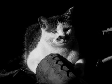 Doobie in black n white