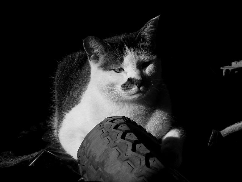 Doobie in black n white