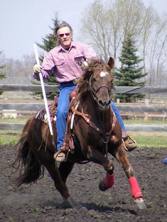 Horse and Rider