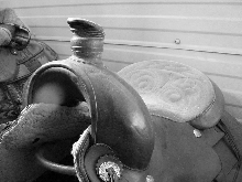 Saddle in black n white