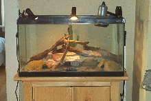 Females Setup