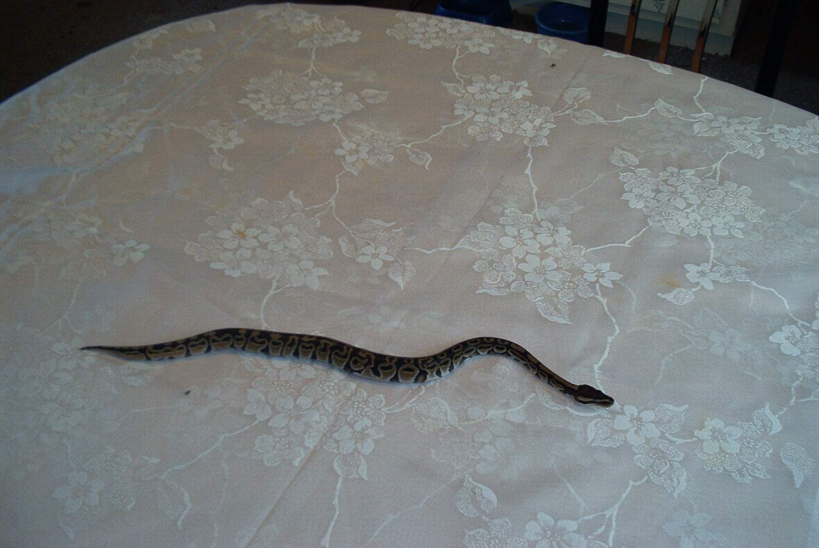 taking best offer