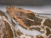 Top of head