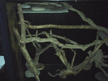 Hand made cage