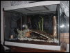 Terrariums