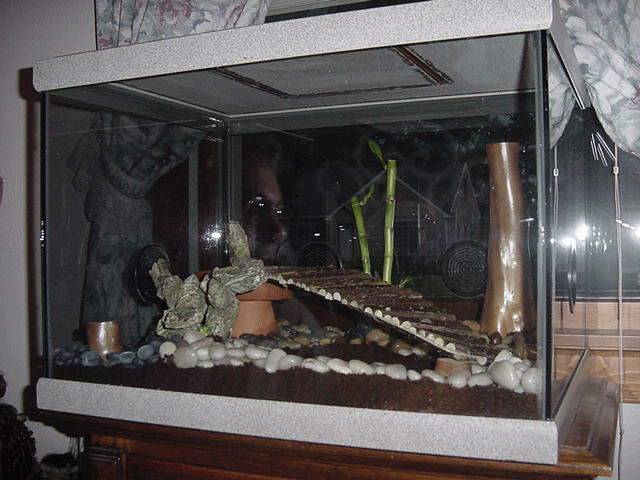 Terrariums