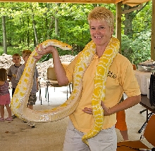 Male Burmese