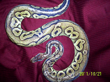 Pewter_Female_Liesen_BLK_Pastel