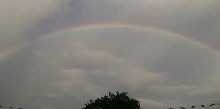 raionbow1
