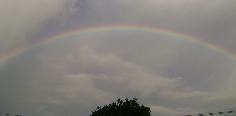 raionbow1
